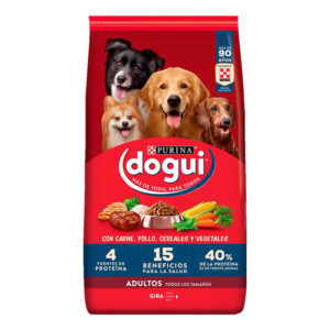 DOGUI ADULTO X 21KG