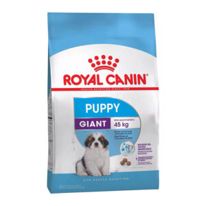 Giant Puppy