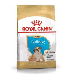 BULL DOG INGLES Puppy x 3kg