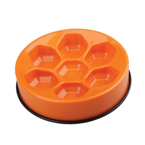 CAVITY SLOW FEED