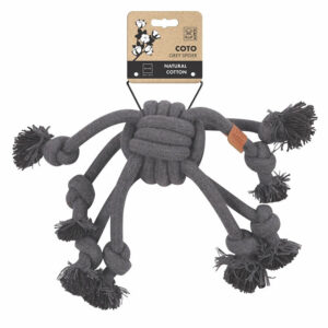 COTO SPIDER
