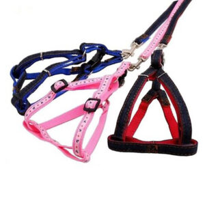 CONJUNTO FLUOR 15 ML