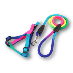 CONJUNTO ARCOIRIS ALPINO CHICO