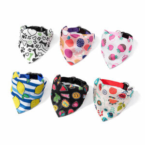 COLLAR CON BANDANA