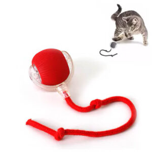 PELOTA USB CON SOGA
