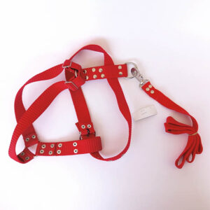 CONJUNTO NATO GR 40 mm escorpio