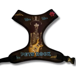 ARNES PETS ROCK