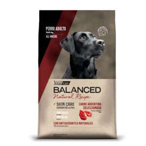 BALANCED Natural Recipe Carne PERRO ADULTO X 15