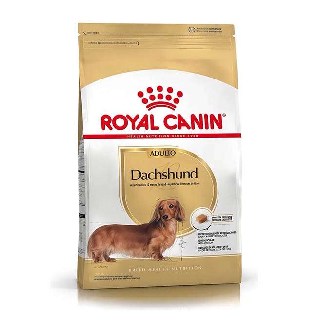 DACHSHUND / Salchicha x 3kg