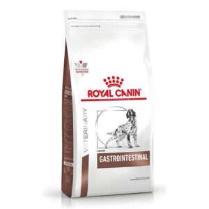 Gastro Intest Dog
