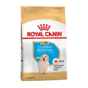 Golden Retriever 29 Jr x 12kg