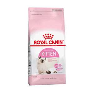 KITTEN 36