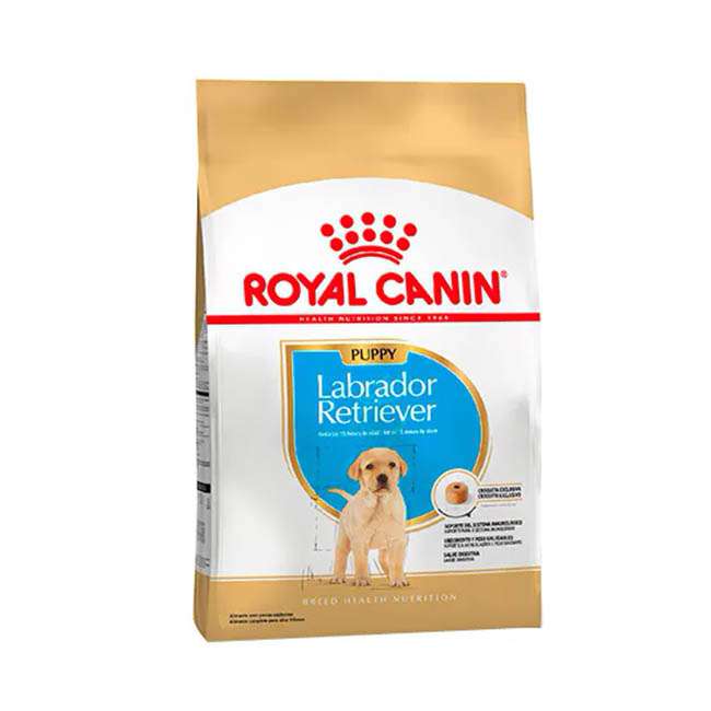 Labrador Retr 33 Jr x 12kg