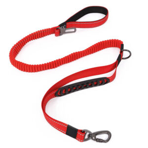 MULTIFUNCIONAL LEASH
