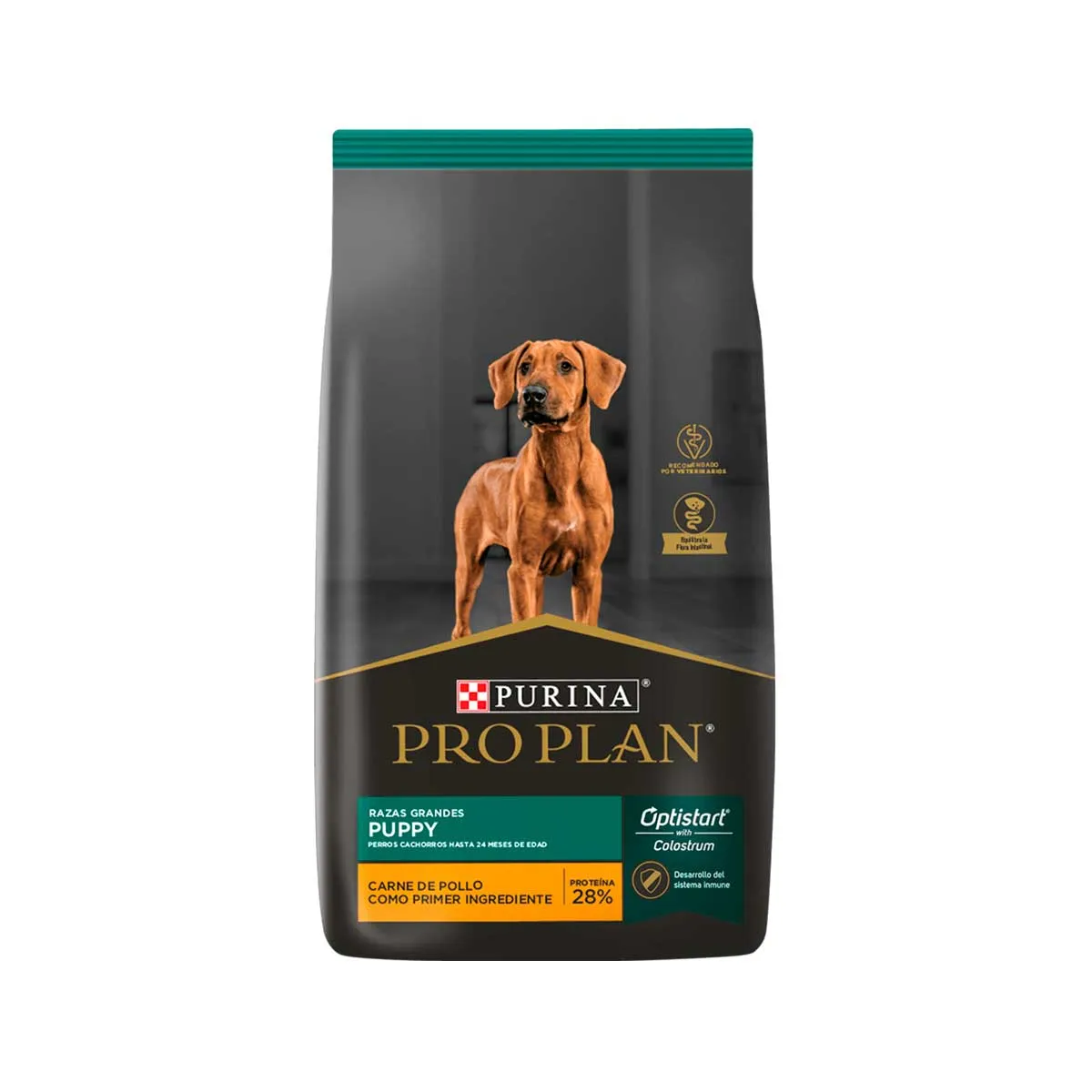 PRO PLAN PUPPY LARGE X 15 KG