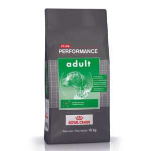 Performance Ad