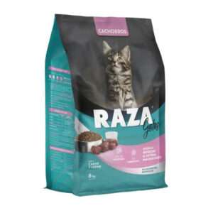 RAZA GATITOS X 8 KG