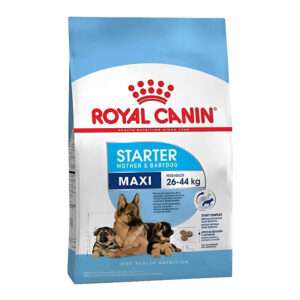 Starter Maxi x 10kg