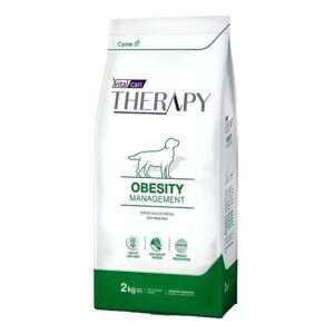 THERAPY PERRO OBESITY