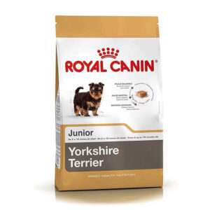 Yorkshire Terr 29 Jr x 1kg