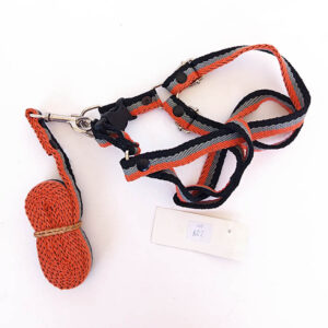 CONJUNTO ARNES