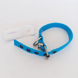 COLLAR