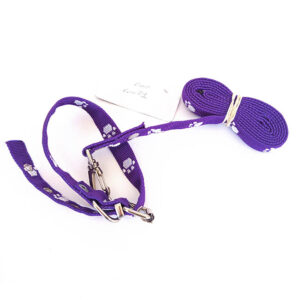 CONJUNTO CORREA COLLAR